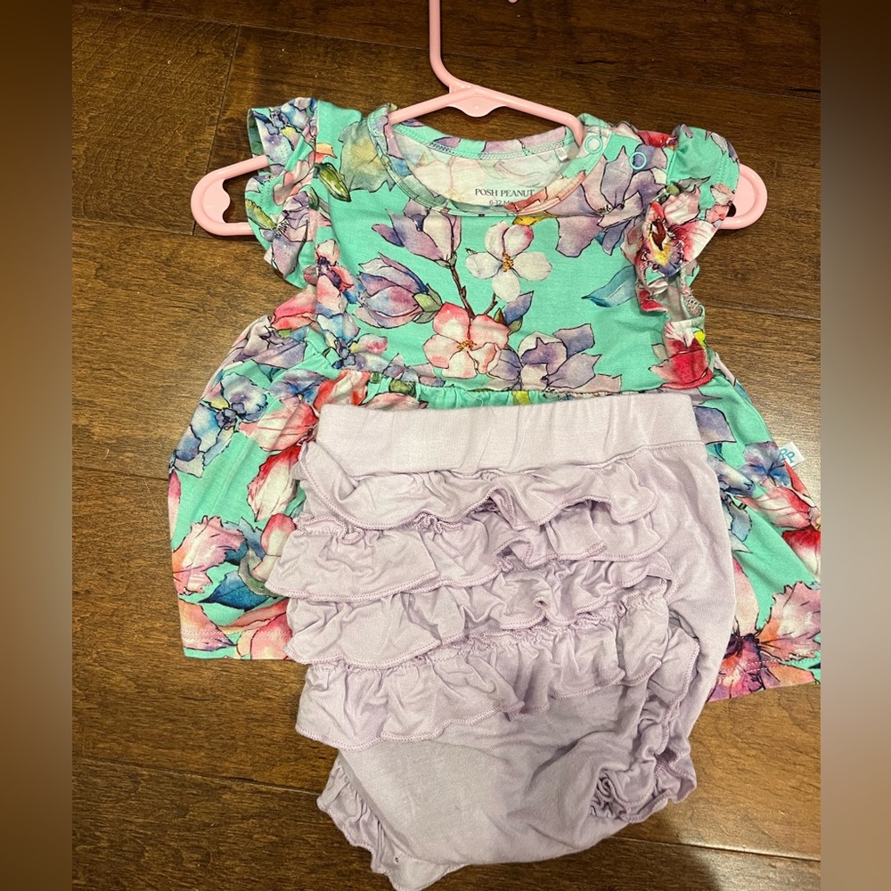 Posh peanut diedre 6-12 months